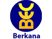 Berkana Enterprise Consulting - (BEC) logo
